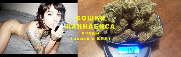 дмт Арсеньев