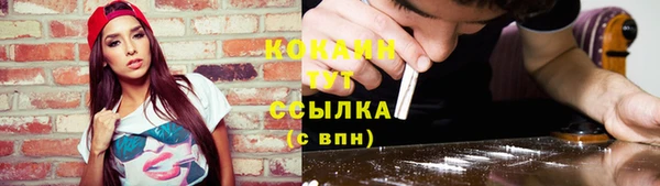 круглые Аркадак