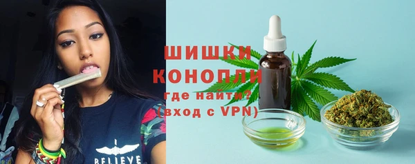 меф Няндома
