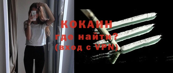 дмт Арсеньев