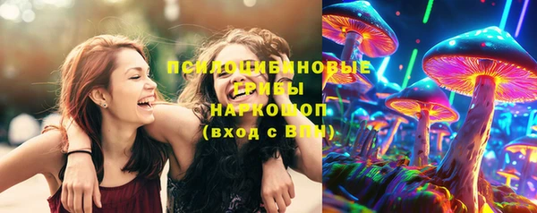 круглые Аркадак