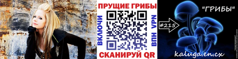 Псилоцибиновые грибы Psilocybe ОМГ ОМГ ссылка Луга
