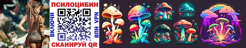 Псилоцибиновые грибы Psilocybe Луга